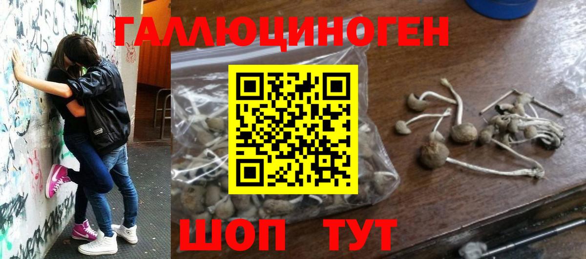 Галлюциногенные грибы GOLDEN TEACHER  Вход с VPN  Жигулёвск  Галлюциногенные грибы прущие грибы 